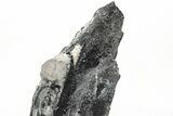 Metallic Wodginite Crystals - Brazil #214516-3